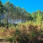 La De Sofi Cosy Piscine 8 Pers * Aureilhan (Landes)